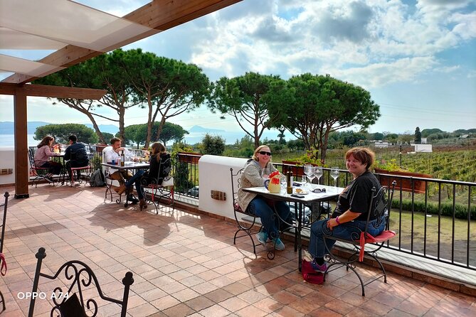 Shore excursion Naples city tour, Pompeii & Winery Cantina del Vesuvio - Who This Excursion Fits Best