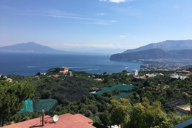 Shore Excursion Sorrento Positano Pompei - Timing and extra costs to sanity-check before you go