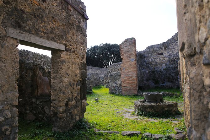 Shore Excursion Tour for Kids from Naples to Pompeii and Amalfi Coast - Timing and transportation: what the 8-hour day actually means