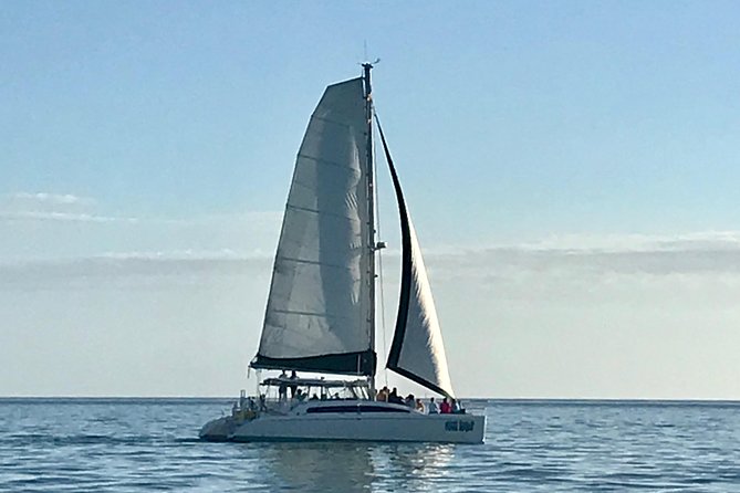 Sightseeing and Sunset Catamaran Sailing Excursion - Cool Beans Catamaran: The Small-Boat Setup That Makes It Fun
