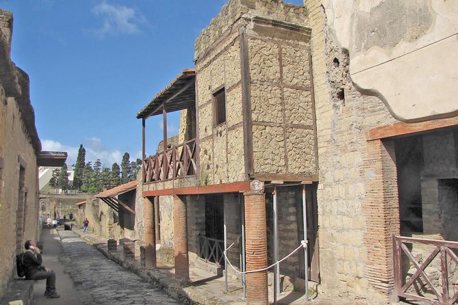 Skip the Line Ancient Herculaneum Walking Tour with Top Rated Guide - Skip-the-line tickets that save your clock at Ercolano Scavi