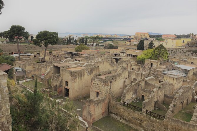 Skip the Line Ancient Herculaneum Walking Tour with Top Rated Guide - Practical tips so you don’t waste your 2 hours