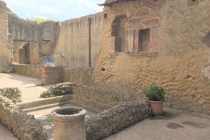 Skip the Line Ancient Herculaneum Walking Tour with Top Rated Guide - Who should book this tour?