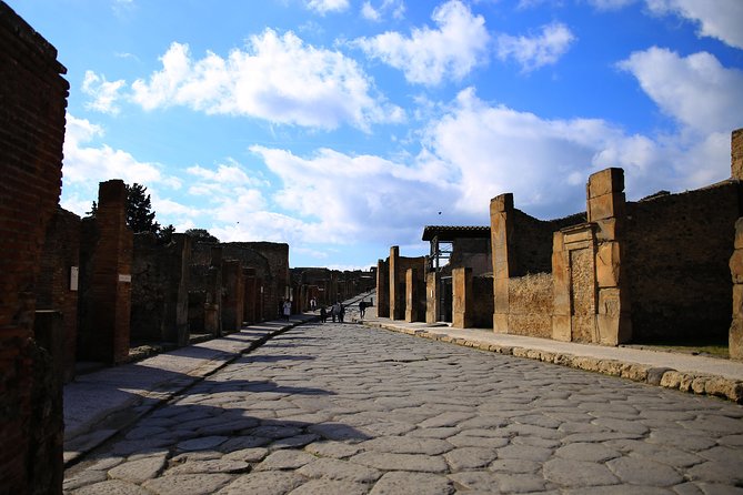 Skip-the-Line Exclusive Private Ancient Pompeii & Vesuvius Volcano Full Day Tour - Transport, pickup, and why the start time matters
