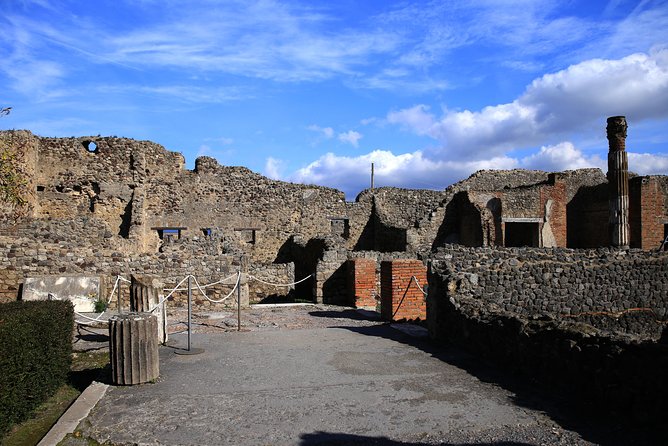 Skip-the-Line Exclusive Private Ancient Pompeii & Vesuvius Volcano Full Day Tour - What about lunch? Plan for it, not against it