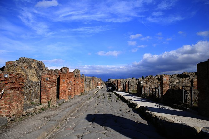 Skip-the-line Exclusive Private Full-Day Complete Ancient Pompeii Guided Tour - Guides Like Italo and Clelia: What to Look For During the Walk