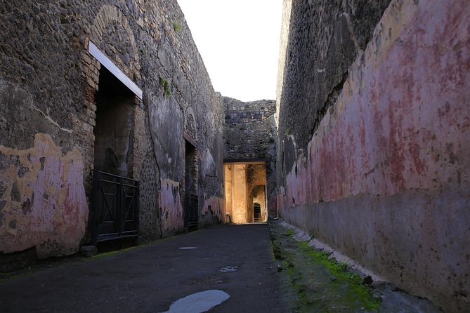 Skip the Line Guided Tour of Pompeii led by an Archaeologist - Should You Book This Pompeii Archaeologist Tour?