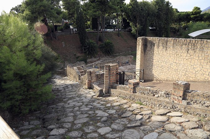 Skip the Line Pompeii Guided Tour from Naples - Crowds management: following the guide is the whole point