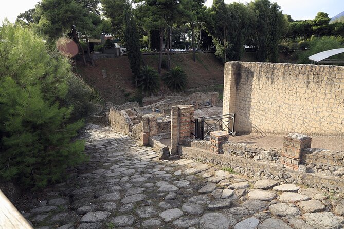 Skip-the-Line Pompeii Guided Tour from Naples - Skip-the-Line entry: what priority tickets really buy you