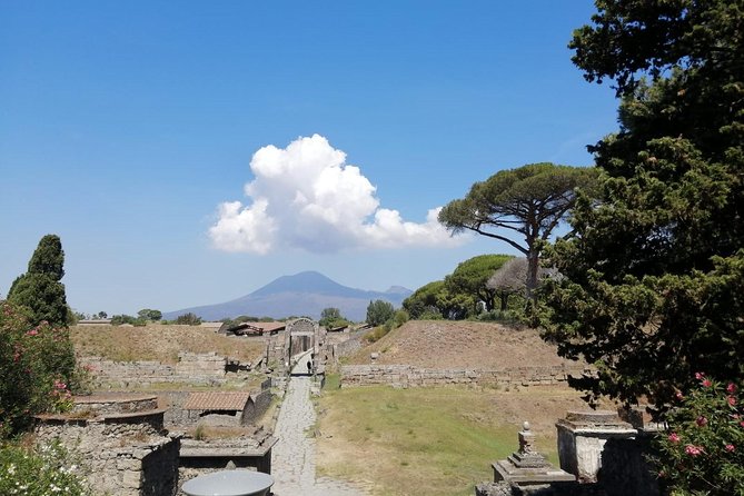 Skip-the-Line Pompeii & Volcano Vesuvius Day Tour w Hotel or Port Pickup - Private Pompeii tour: from the Lupanar to the Forum