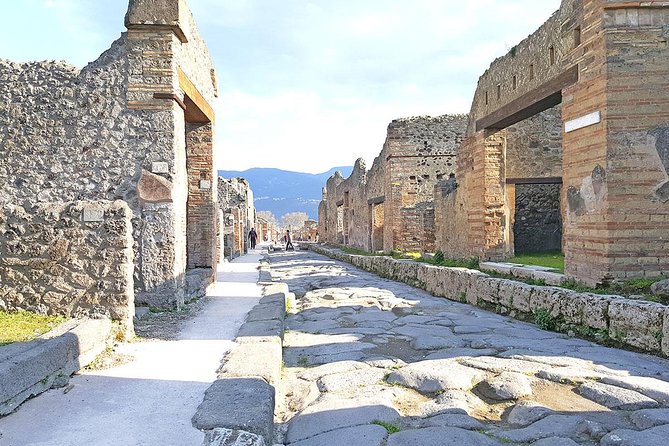 Skip-the-Line Pompeii & Volcano Vesuvius Day Tour w Hotel or Port Pickup - Who this tour suits best