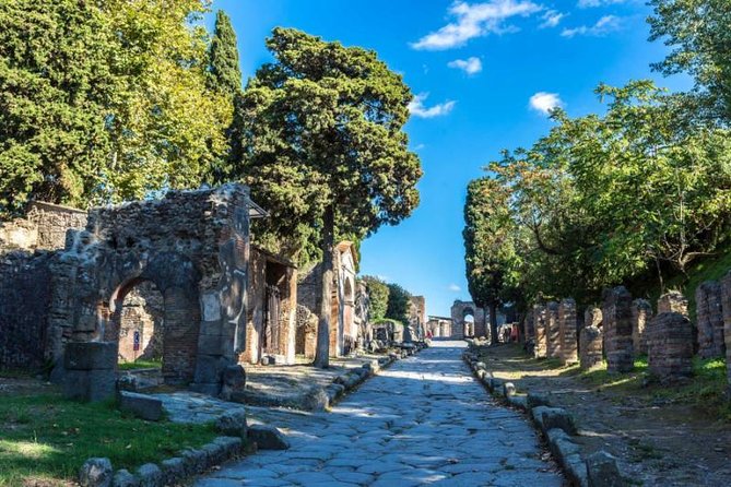 Skip the Line Private Pompeii Guided Tour - Skip the Line at Pompeii: What That Really Buys You in 2 Hours