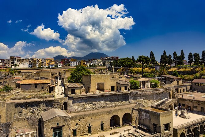 Skip-the-Line Ticket for Herculaneum Ruins - Logistics that actually matter on the day
