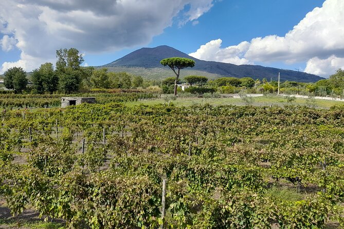 Skip-The-Line Tickets VIP Small Group Tour To Pompei and Vesuvius - Price and value for a $325 VIP day from Naples