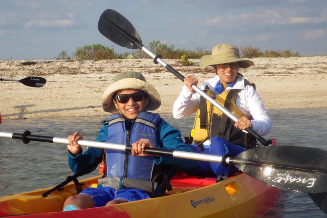 Small Group Boat, Kayak and Walking Guided Eco Tour Everglades - Key tour takeaways before you go