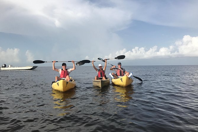 Small Group Boat, Kayak and Walking Guided Eco Tour Everglades - The meeting point in Naples and the first practical tip