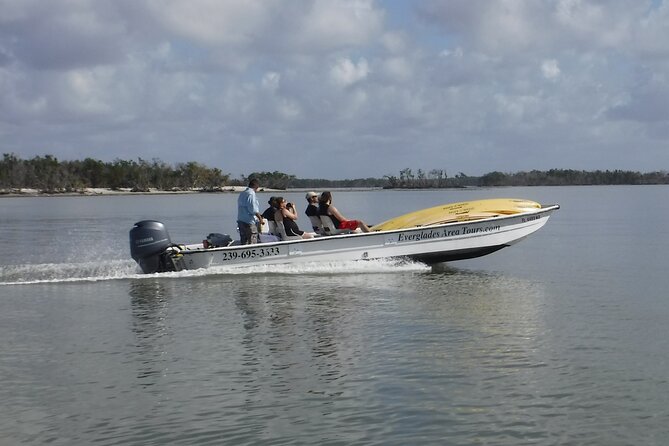 Small-Group Everglades Boating Kayaking and Walking Eco Tour - Wildlife odds and how to set yourself up for sightings
