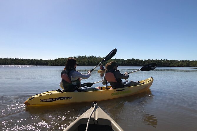 Small-Group Everglades Boating Kayaking and Walking Eco Tour - Timing, group size, and what a 3.5-hour day feels like