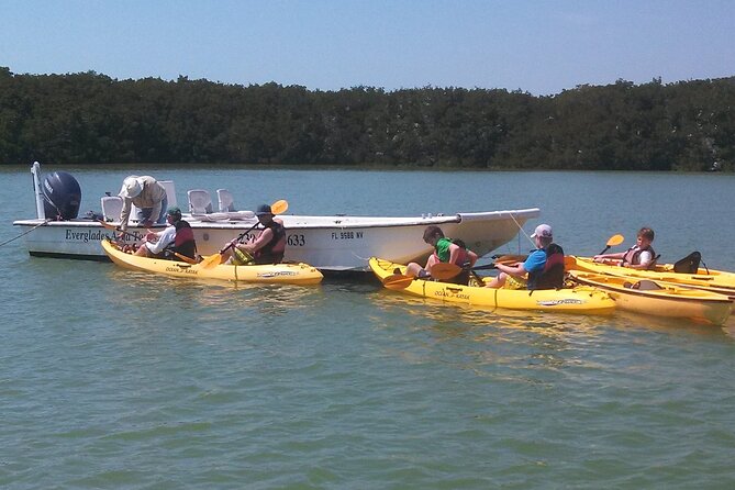 Small-Group Everglades Boating Kayaking and Walking Eco Tour - Ten Thousand Islands National Wildlife Refuge: kayaking on quiet water