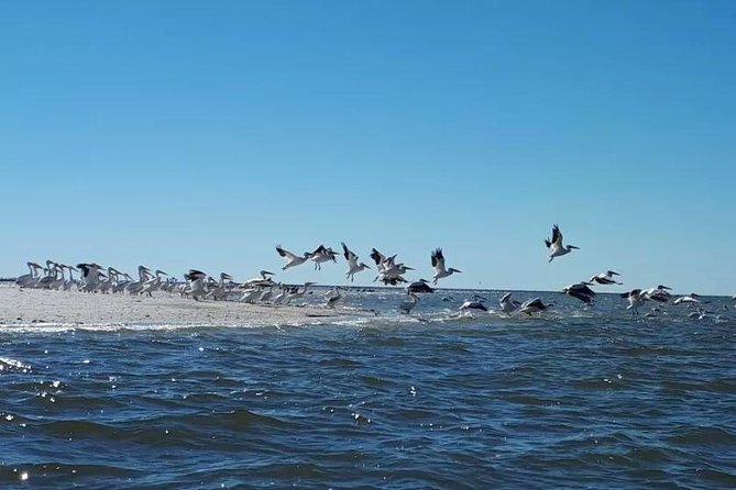 Small Group Motorboat Eco Tour of the Everglades - Timing, weather, and what to expect on the water