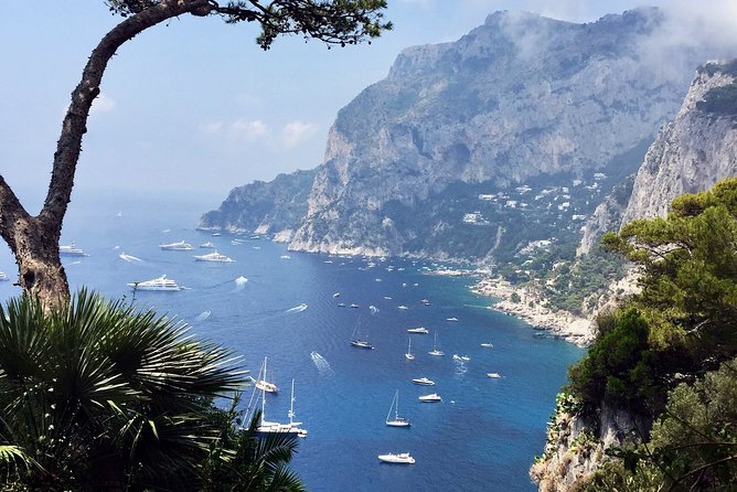 Small Group Stress Free Tour : Capri Island and Blue Grotto from Naples - Anacapri Town Time: A Different Side of Capri (and Your View Options)