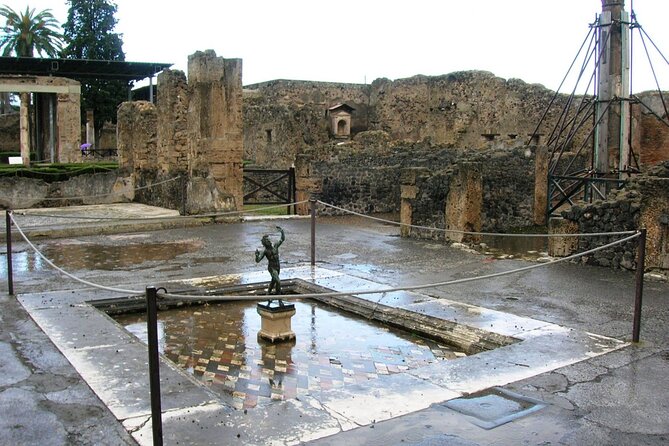 Small group tour to Pompeii, Sorrento and Positano - Reliability check: what to do before you commit