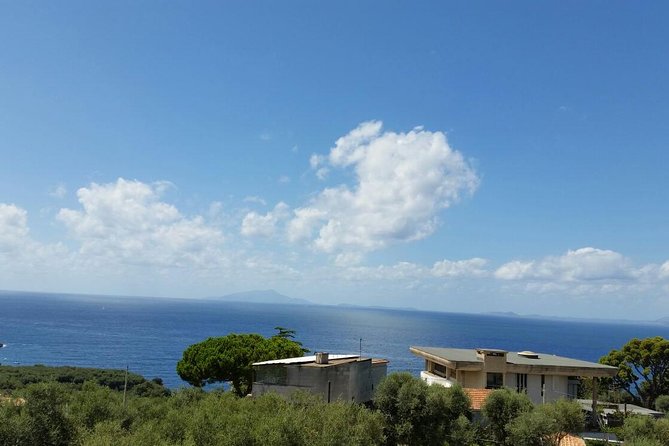 Sorrento Positano and Pompeii - Port pickup and cruise-friendly planning from Naples