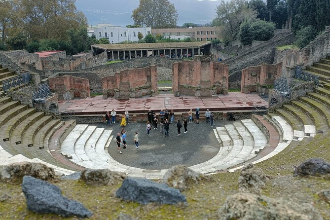 Step into History: Private Pompeii Tour from Naples Hotel or Port - Naples Drop-Off: Returning Without Another Hassle