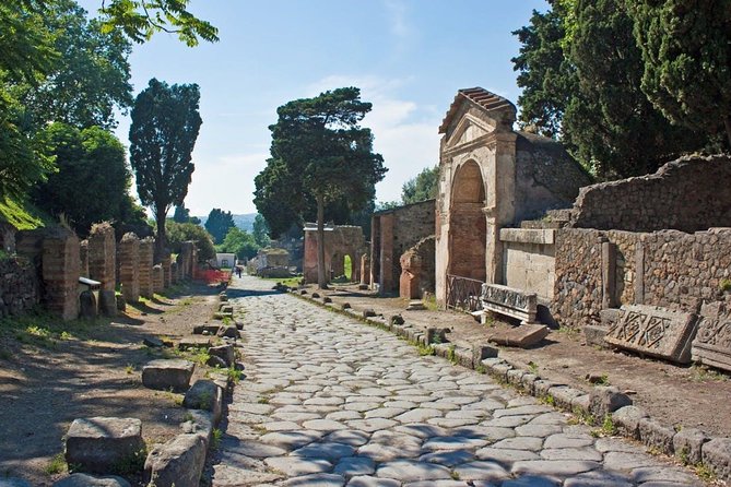 Stories of Pompeii: Small Group tour with archeology expert guide - Entering Pompeii in Just About Two Hours