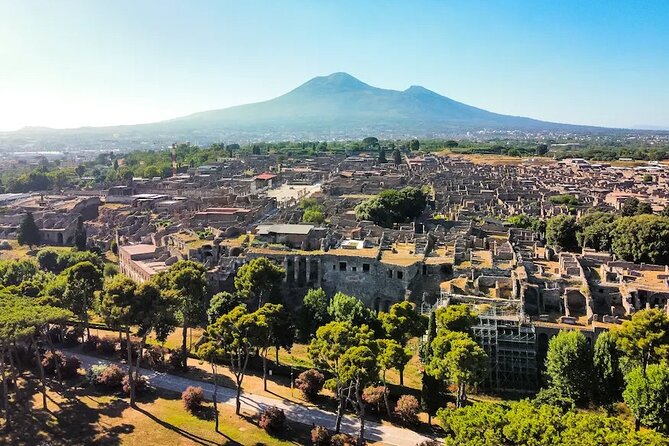 Stories of Pompeii: Small Group tour with archeology expert guide - Timing, Pacing, and How to Walk Better