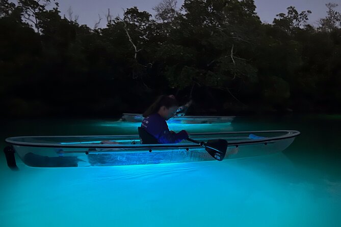 Sunset and Glow Clear Kayak Tour in North Naples - Key Things I’d Know Before You Go