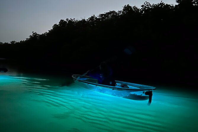 Sunset and Glow Clear Kayak Tour in North Naples - Why This Sunset-Glow Kayak Tour Works in Naples