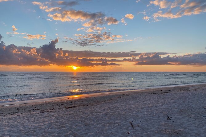Sunset and Glow Clear Kayak Tour in North Naples - Sunset Timing and Barefoot Beach Preserve: The “Pause and Look” Moment