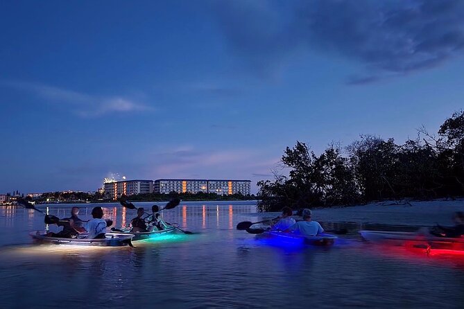 Sunset and Glow Clear Kayak Tour in North Naples - What You Need (Besides the Clear Kayak) for Comfort