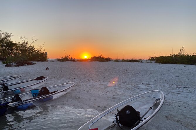 Sunset and Glow Clear Kayak Tour in North Naples - Mangroves, Wiggins Pass, and Gulf Views: What the Paddle Is Like