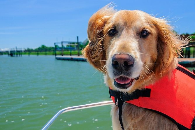 Sunset Private Boat Trip in Naples FL with Secluded Island Stop with your Dog - A Naples sunset trip that feels personal from the start