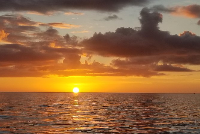 Sunset Private Boat Trip in Naples FL with Secluded Island Stop with your Dog - Keewaydin Island: the secluded beach break (and the dog’s favorite part)