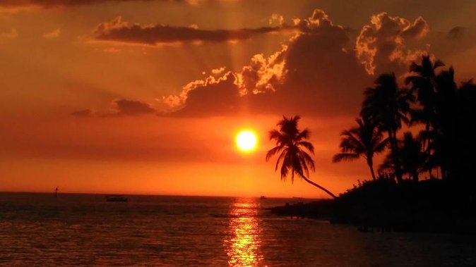 Sunset Private Boat Trip in Naples FL with Secluded Island Stop with your Dog - Dog-friendly details that go beyond the marketing