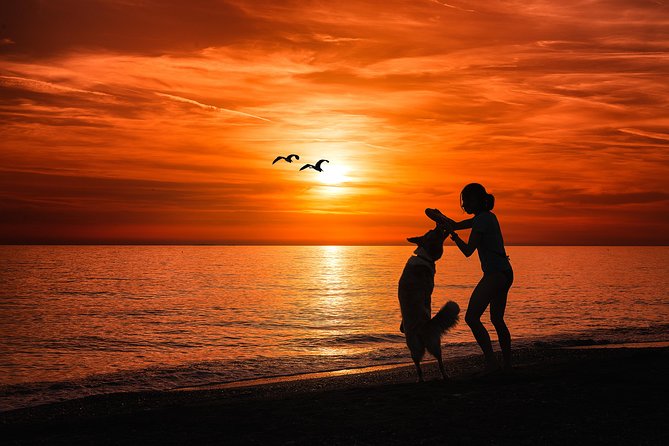 Sunset Private Boat Trip in Naples FL with Secluded Island Stop with your Dog - The small open-boat reality: comfort, weather, and practical limits