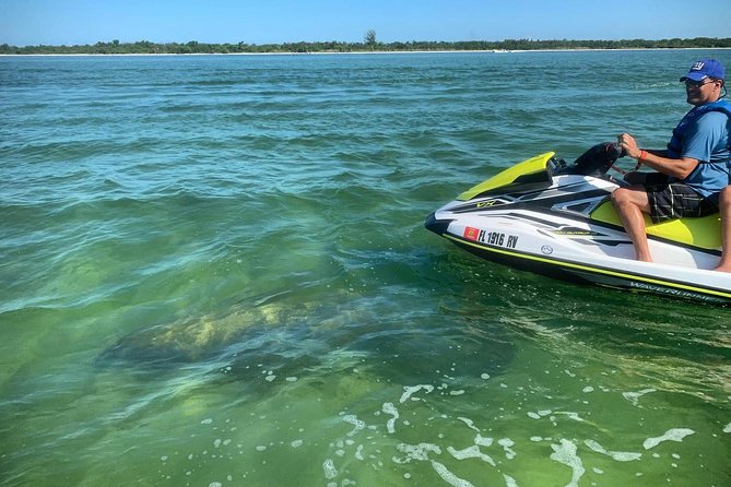 Ten Thousand Island Jet Ski Eco Tour - Marco Island - Should you book the Ten Thousand Island Jet Ski Eco Tour?