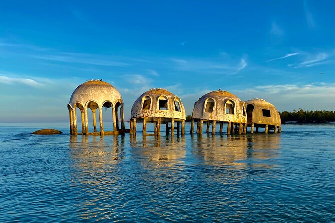 Ten Thousand Islands Eco/Dolphin Tour - Beach Combing and Shelling: The Part That Turns Heads