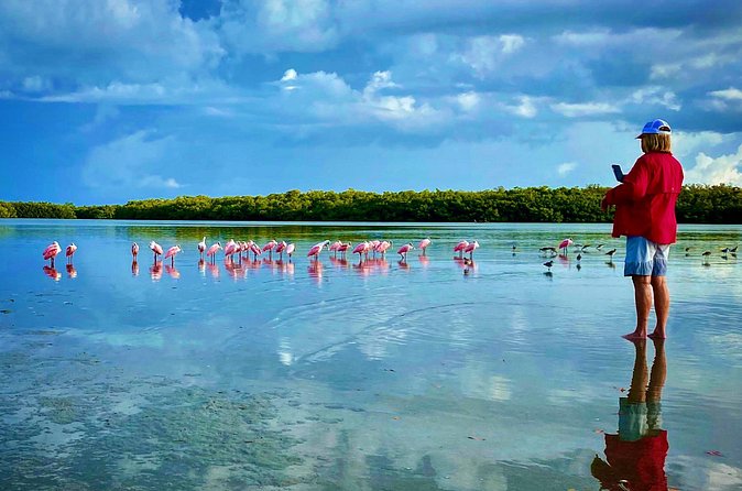 Ten Thousand Islands Eco/Dolphin Tour - Private Charter Value: $550 for Up to 6 People