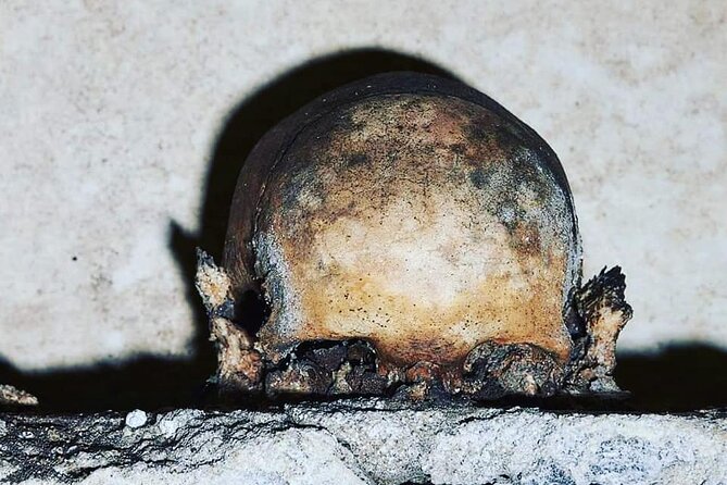 The Skull with the Ears: the Cult of the Dead in the Church of S. Luciella - Key Things You’ll Notice at Santa Luciella ai Librai
