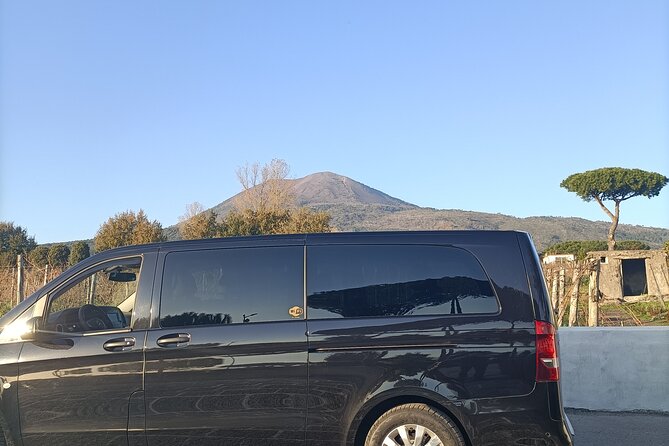 Tour from Naples to Pompeii and Winery - Getting There Comfortably: Air-Conditioned Transport and Tommaso-Level Reliability