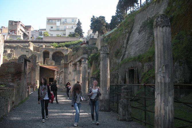 Tour in the ruins of Herculaneum with an archaeologist - Should you book this Herculaneum archaeologist tour?