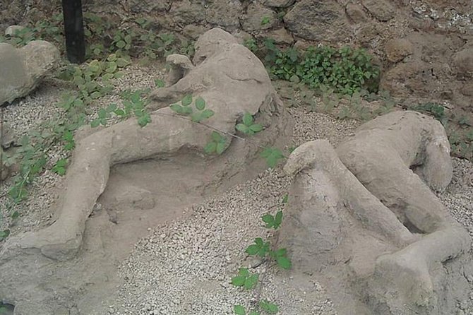 Tour of Mt. Vesuvius+Sorrento+Pompeii (Full Day) - Price and Value: Is $353.07 Per Person Fair for This Combo Day?