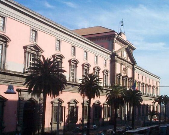 Tour of the Archaeological Museum of Naples - Quick reasons to book this Naples museum tour