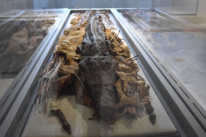 Tour of the Archaeological Museum of Naples - Greek-Roman statues and the Farnese connection