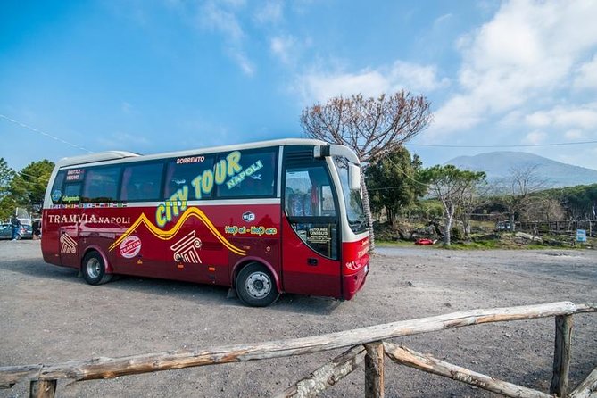 Tramvia Napoli: Transfer to Herculaneum Ruins + Vesuvius - Naples Pickup Stops: Where the Bus Finds You