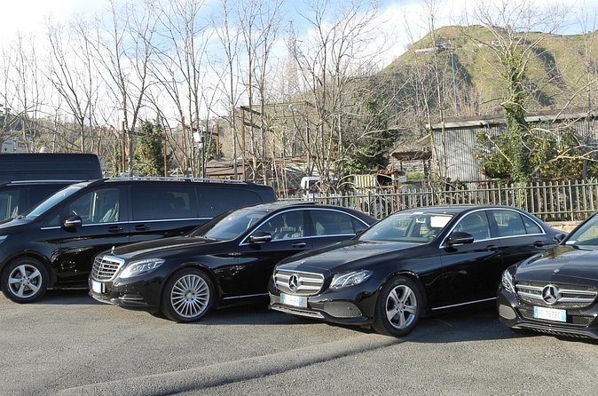 Transfer from Naples to Pompei - Price and value: $115.68 per group (up to 3)